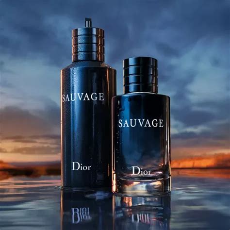 sauvage dior kopie|dior sauvage alternative.